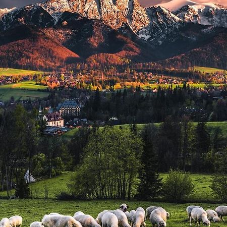 Villa Jumper Widok Na Cale Tatry Lazienka Nie Jest W Pokoju ザコパネ エクステリア 写真
