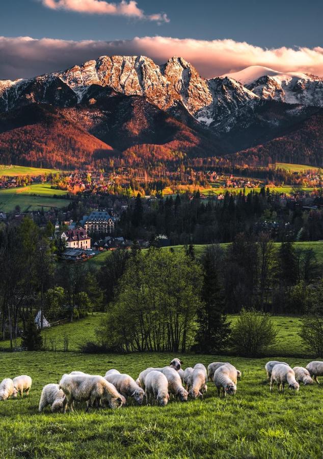 Villa Jumper Widok Na Cale Tatry Lazienka Nie Jest W Pokoju ザコパネ エクステリア 写真